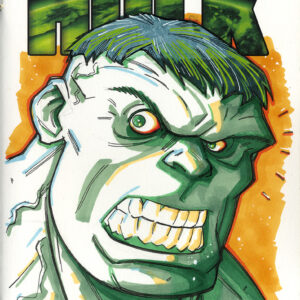 HULK sketch cover (PLANET HULK 1)