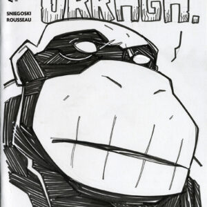 HERCULOIDS sketch cover IGOO head sketch